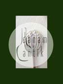 Mogens Ballin Silver Hair Pin/Needle with Mother of Pearl