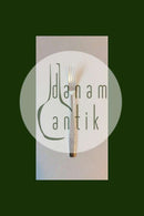 Stjerne, Jens Harald Quistgaard sølvplet Spisegaffel