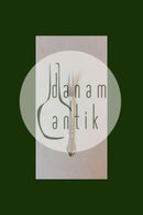 Riberhus Cohr ATLA silver plate Cold Meat Fork