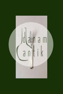 Kuchengabel Diplomat Silberblech