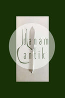 Columbine Silver Plate Cake Knife