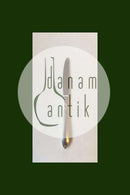 Hertha Cohr silver plate Lunch Knife