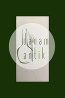 Athene DGS Versilberte Gabel Danske Krone Silber