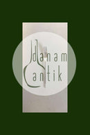 Athene DGS silver plate Lunch Fork Danske Krone Sølv