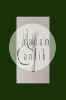 Diplomatengabel aus Silberblech A.P. Berg