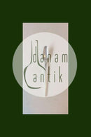 Farina sølvplet Dessertske Dansk Krone Sølv