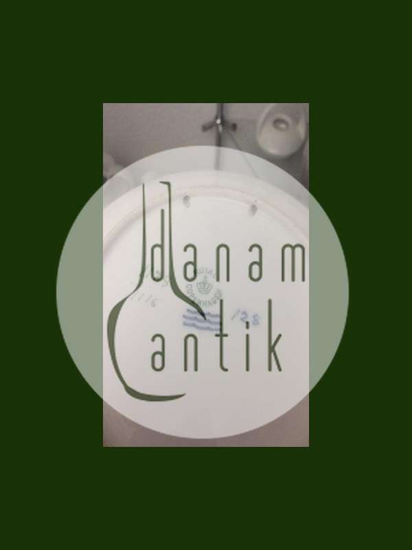 Royal Copenhagen Art Nouveau Vægtallerken med Måger No 1138/1115