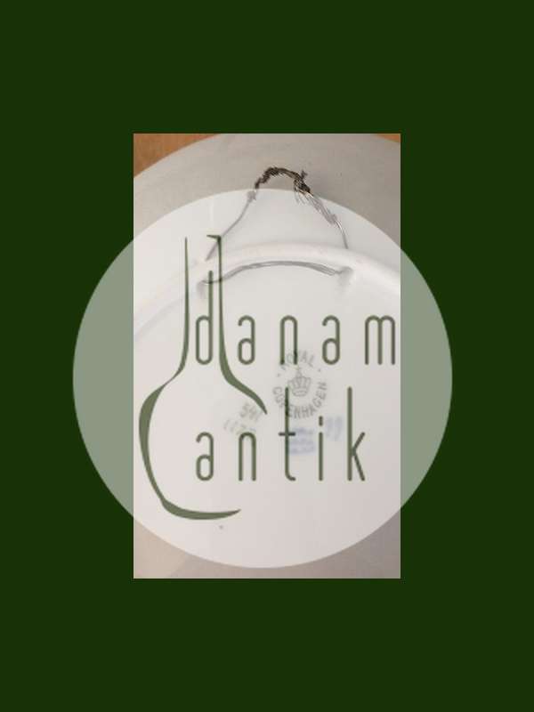 Royal Copenhagen Art Nouveau Motiv tallerken No 541/1122 Valmue og måneskin