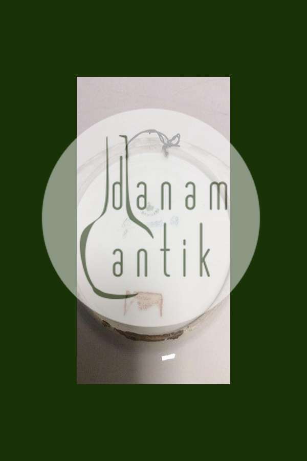 Royal Copenhagen Motiv Platte med Påskelilje no 65/8