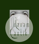 Royal Copenhagen Art Nouveau Vase med 2 hanke No 970/227