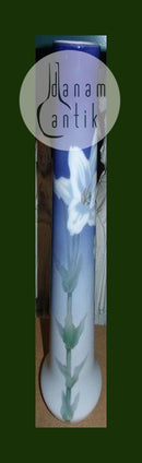 Royal Copenhagen Art Nouveau Vase No 387/185