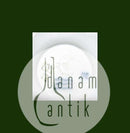 皇家哥本哈根新艺术主义花瓶编号134/13