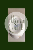 Royal Copenhagen Art Nouveau Vase No 2639/45A