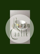 Royal Copenhagen No 93 White Half Laced w. Flowers and Gold Teacup and Saucer