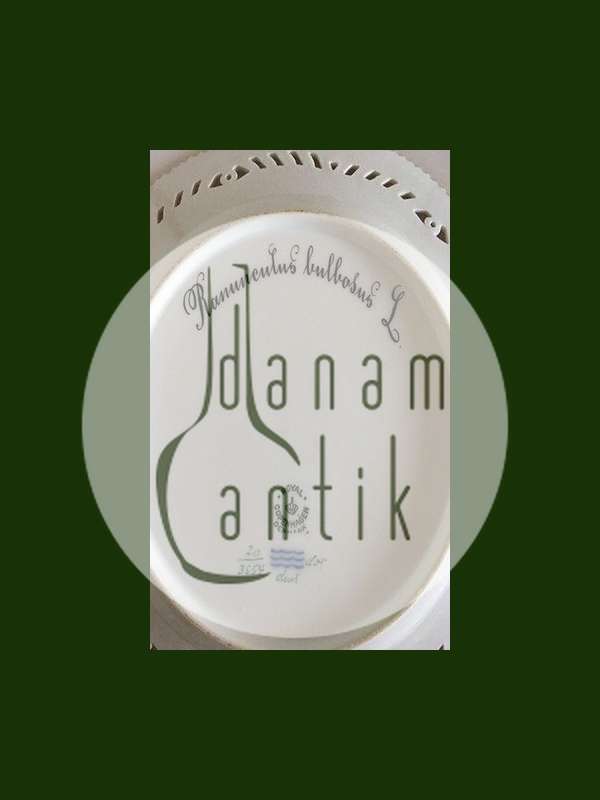 Royal Copenhagen Flora Danica Frokost Tallerken med Gennembrudt Kant No 3554