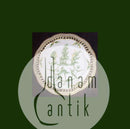 Antik Royal Copenhagen Flora Danica Gennembrudt Spisetallerken No 3553