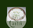Antik Kgl. Porzellan Flora Danica Beilagenteller Nr. 3552 (2)