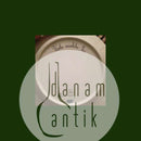 Royal Copenhagen Flora Danica Speiseteller Nr. 3549