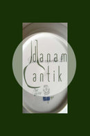 Royal Copenhagen Flora Danica Tiefer Teller Nr. 735/3545