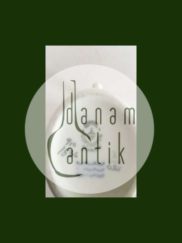 Royal Copenhagen Frijsenborg Flødekande No 1536