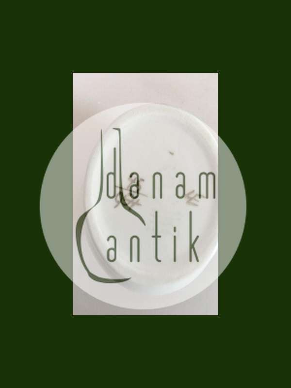 Royal Copenhagen Brun Tranquebar Flødekande No 954