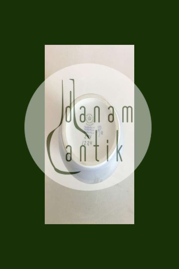 Royal Copenhagen Art Nouveau Vase No. 254/1224