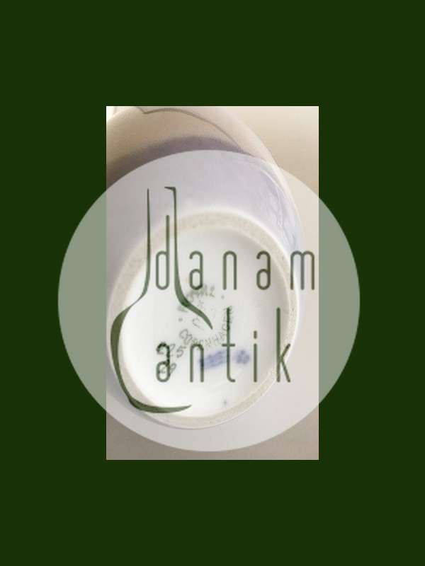 Royal Copenhagen Art Nouveau Flagermus Vase No 225/29