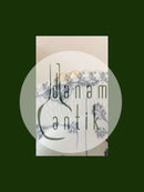 Royal Copenhagen Antik Musselmalet Helblonde Tallerken