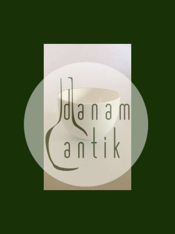 Royal Copenhagen Rødtop / Rødkant Skål No. 3081