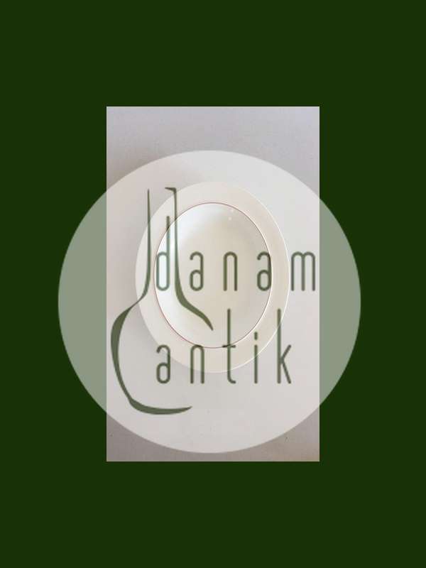 Royal Copenhagen Rødtop / Rødkant Dyb Tallerken No 3073