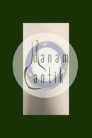 ロイヤルコペンハーゲン ブルーマグノリアビュッフェプレート No 631