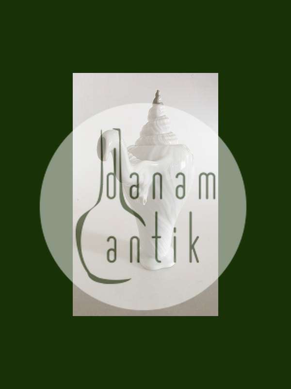 Royal Copenhagen Hvid Konkylie Kaffekande No. 14181