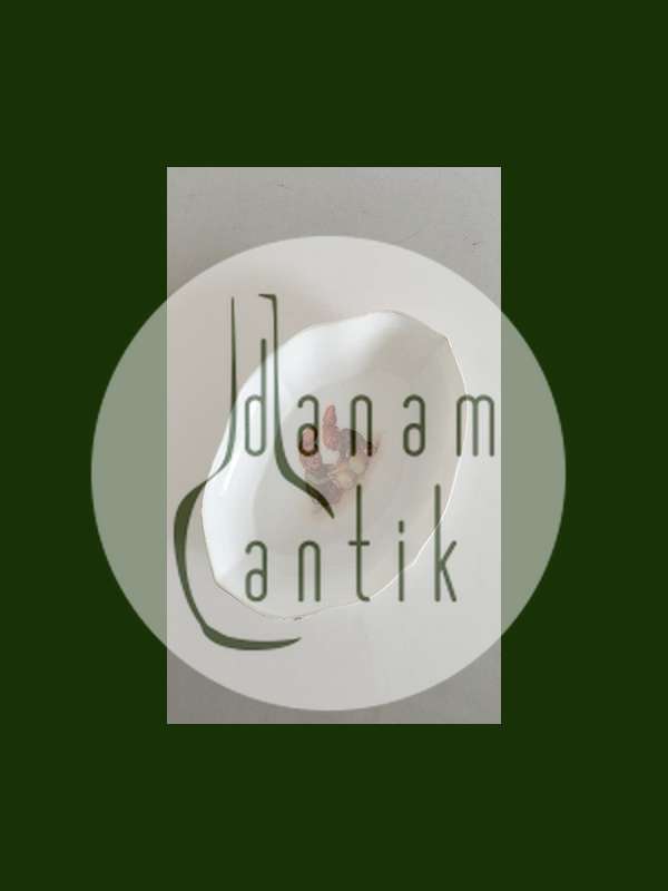 Royal Copenhagen Royal Pixie Set (Verkauft als Set von 25)