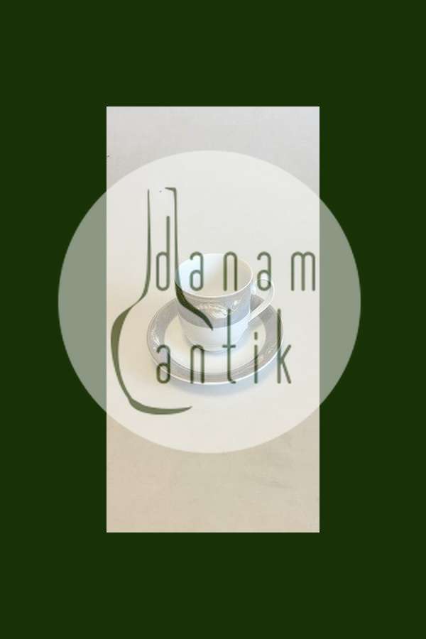 Royal Copenhagen Grå Magnolia Kaffekop med underkop No 072+073