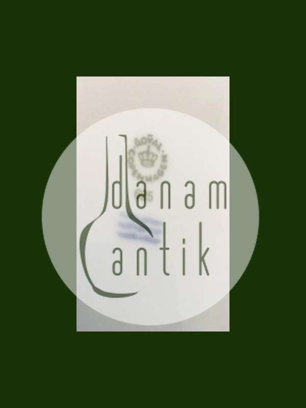 Royal Copenhagen Blå Magnolia Spise Tallerken No 625