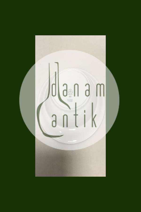 Royal Copenhagen Magnolia&