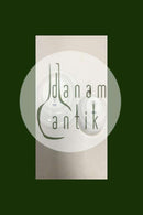 Royal Copenhagen Magnolia, Grey with red decoration Coffee Cup and Saucer 072/073