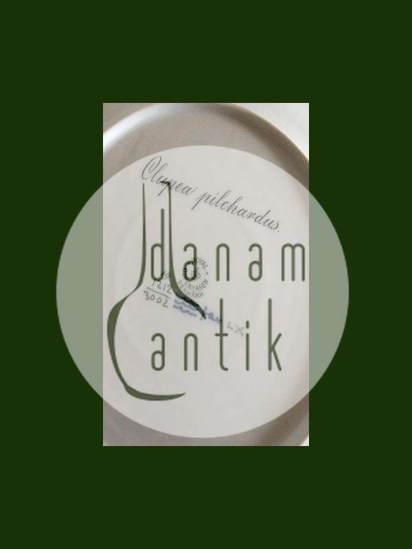 Royal Copenhagen Blå Fisketallerken med Guld No 1212/3002