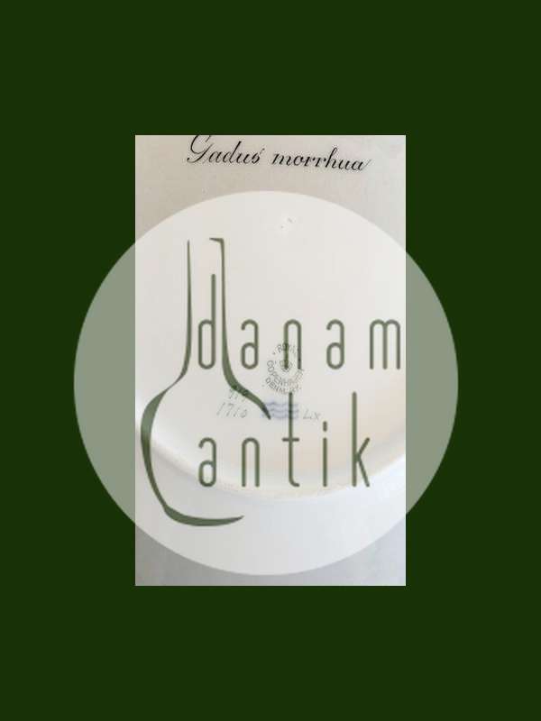 Royal Copenhagen Green Fish Plate No 919/1710 with Gadus Morrhua