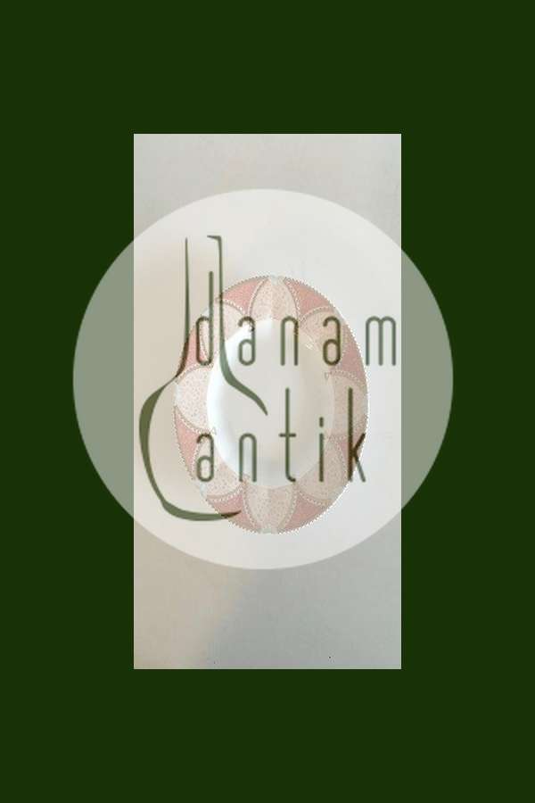 ロイヤルコペンハーゲン フェアリーテイルサイドプレート No 617