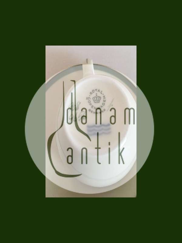 Royal Copenhagen Fuglsang Kaffekop og Underkop No 9656