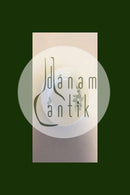 皇家哥本哈根绿花焊接的午餐盘No 1624