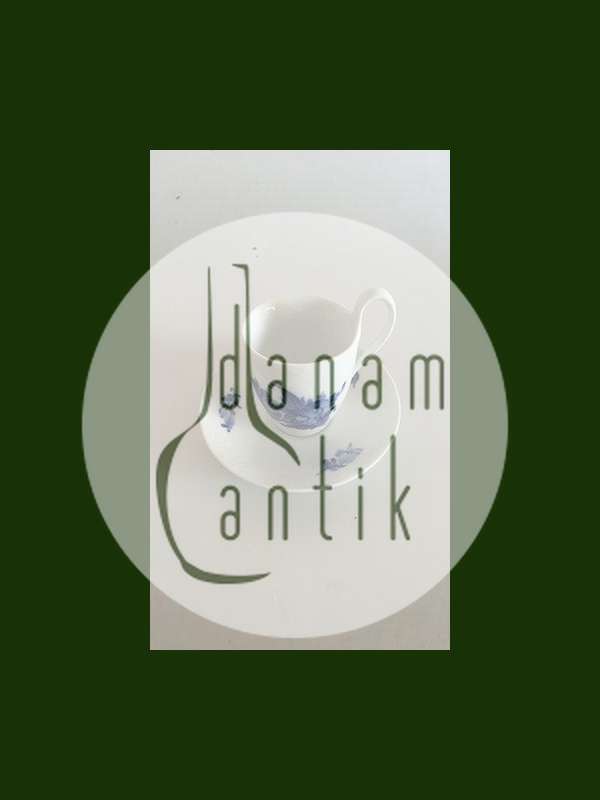 Royal Copenhagen Kaffekop og Underkop med Tyk Kant No 8193