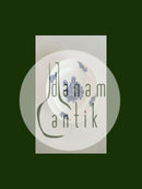 Royal Copenhagen Blå Blomst Flettet Frokosttallerken No. 8095