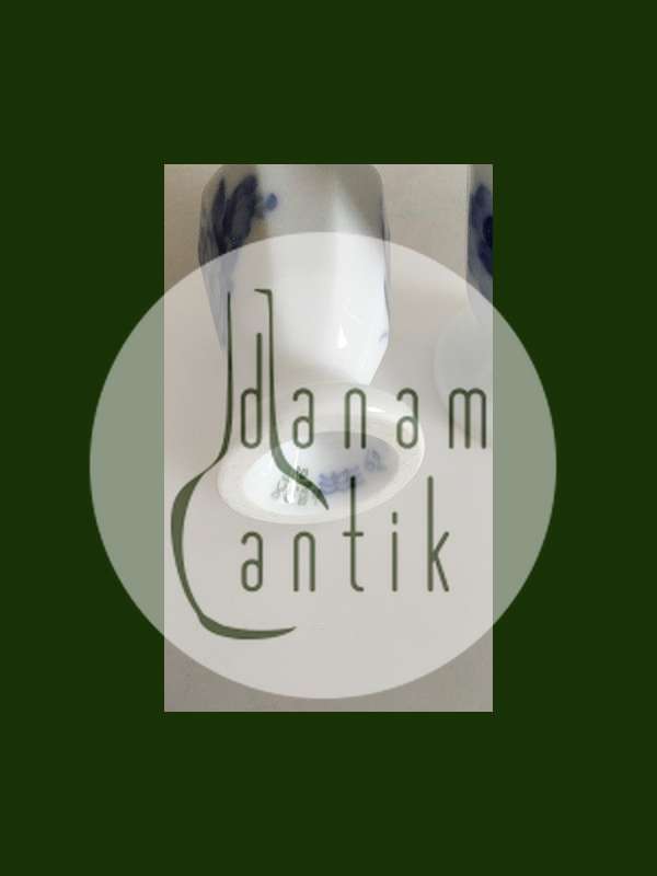 皇家哥本哈根蓝花盐和胡椒粉套装No 8584