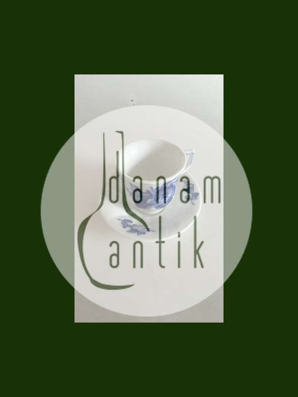 皇家哥本哈根蓝花浓缩咖啡杯和碟子No 8562