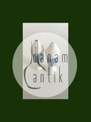 Royal Copenhagen Blå Blomst Svejfet Salt og Peber Sæt No 1876 / 1706