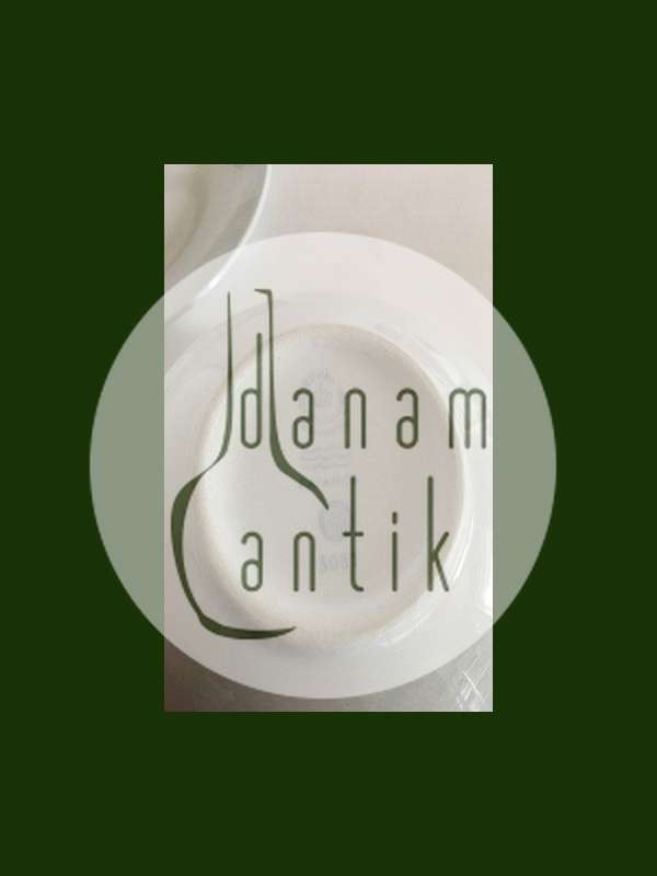 Royal Copenhagen Fajance Blåkant Bouillonkop med låg No. 3081