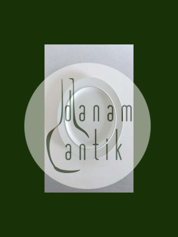 Royal Copenhagen Blåkant Spisetallerken No 3070/625