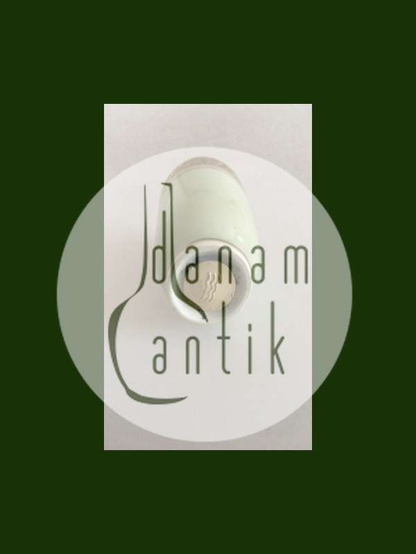 Royal Copenhagen Dagmar Saltbøsse No 9758